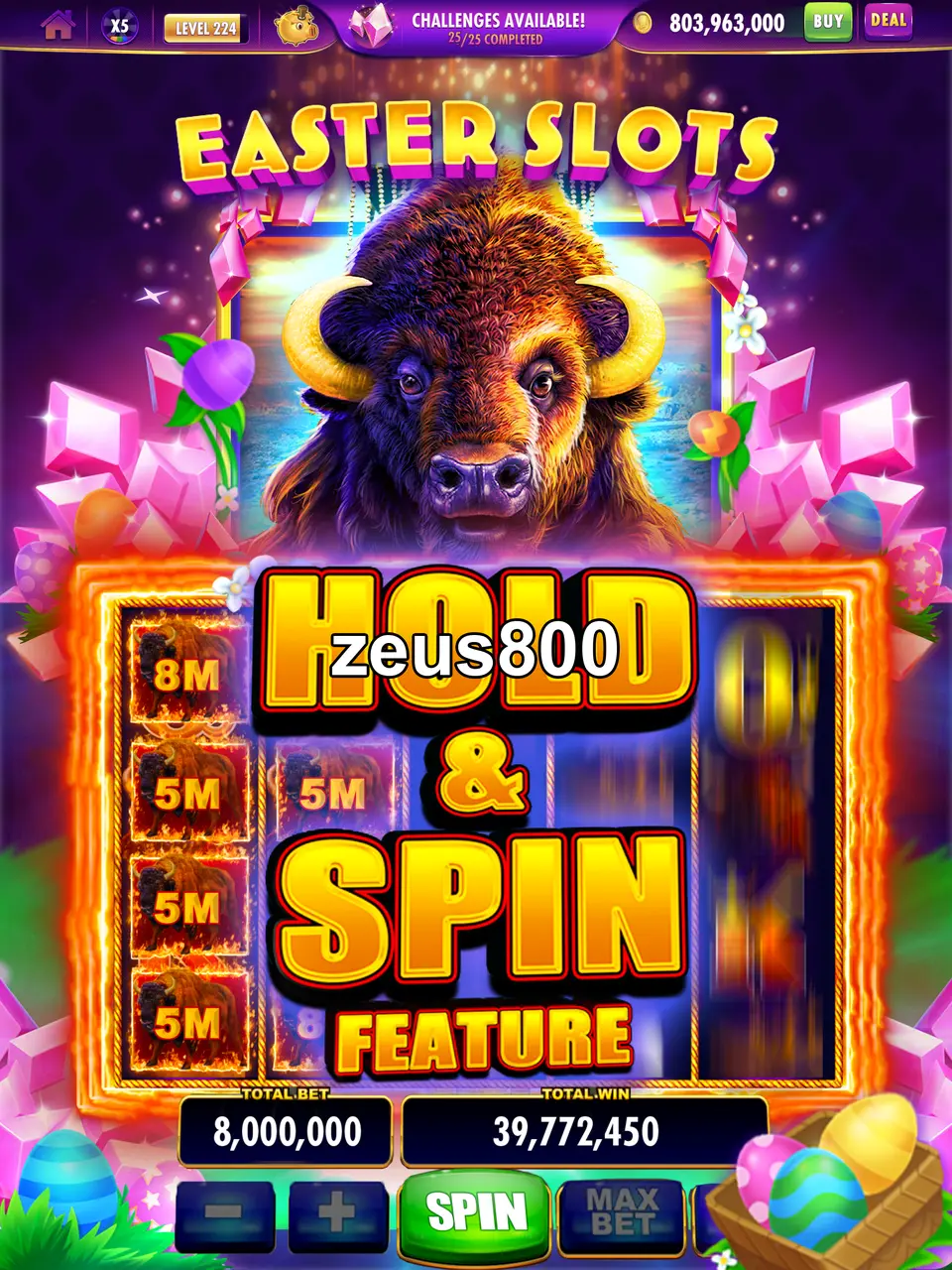 zeus800 Masuk